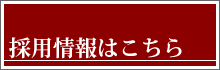 採用情報はこちら